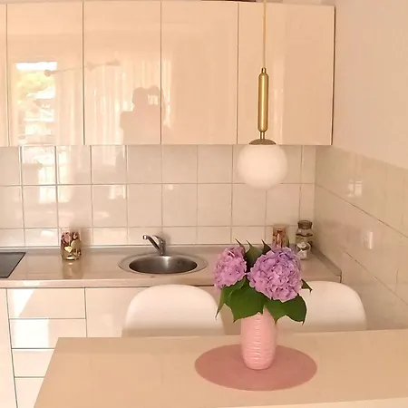 Apartmán Nini Kraljevo
