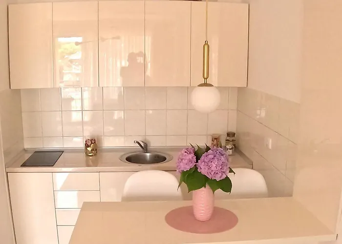 Apartman Nini Kraljevo